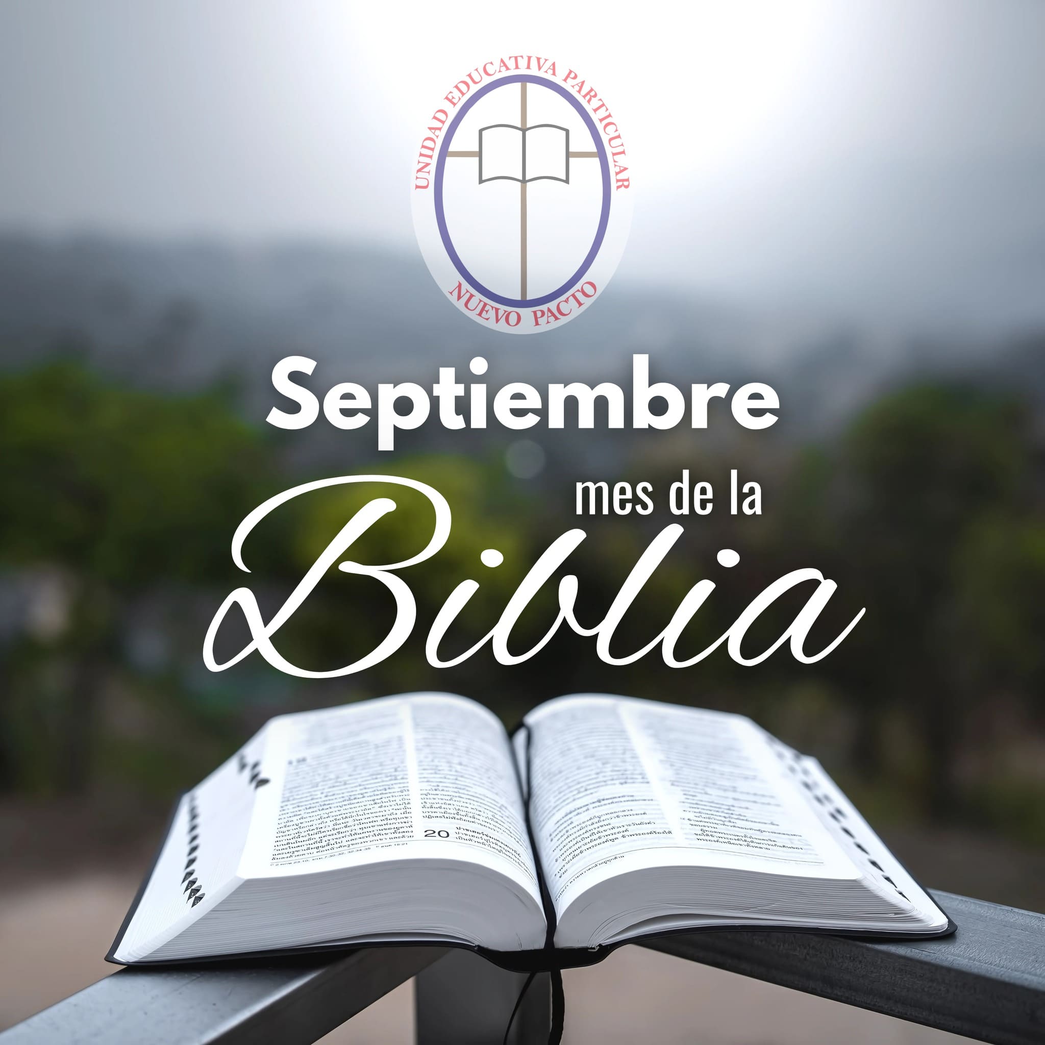 Descripción imagen noticia 2